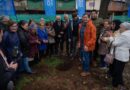 Osorno: Primera pierda de la obra de confianza “mejoramiento Plaza Lautaro”