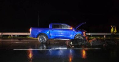 Animales que ingresaron a la carretera generaron accidente de tránsito en la Ruta 5 a la altura de Purranque