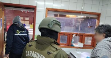 En Angelmó sorprenden venta de merluza austral en veda y cerca de mil unidades de locos