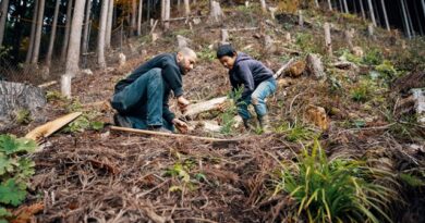 Sequía, incendios y calor extremo: así sienten los chilenos el cambio climático según nuevo estudio