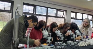 IFOP Realiza Clase de Mitilicultura para Estudiantes en la Región de Los Lagos