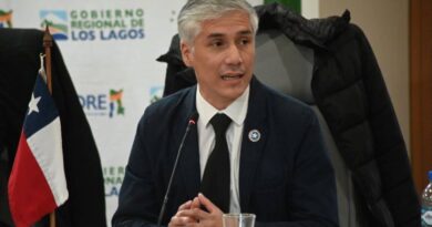 Consejero Eduardo Parada hace un llamado a buscar soluciones ante ataques de perros asilvestrados