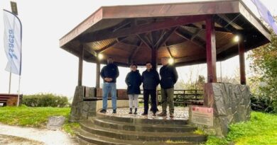 Saesa ilumina pérgola “Pedestal del Sol” en Bahía Mansa con su programa Barrios con Energía