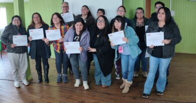 Chonchi fue elegido en Chiloé para el encuentro participativo del programa familias del Fosis.