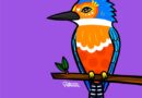 Desde Chile a Dubái: artista nacional convierte especies nativas en íconos visuales