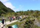 CONAF presentó  proyectos de mejoramiento del Parque Nacional Vicente Pérez Rosales