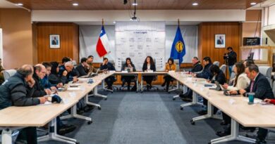 Autoridades destacan positivo balance de las celebraciones de Fiestas Patrias en la región de Los Lagos