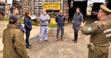 Autoridades realizan operativo de fiscalización en centros de acopio de leña en Osorno