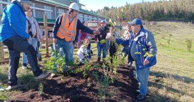 Inician proyecto de arborización en hospitales interculturales en la provincia de Osorno