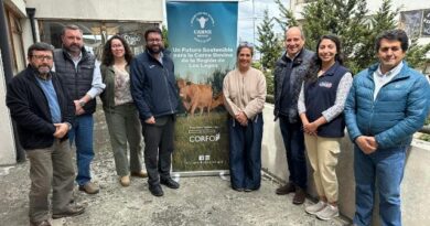 Tecnología e innovación marcan el camino hacia una carne bovina más competitiva en Los Lagos