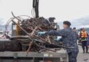 Dalcahue realizó exitoso operativo de limpieza submarina con 9 toneladas de residuos retirados