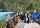Parque Nacional Vicente Pérez Rosales mostró sus avances en gestión efectiva a expertos ambientales de fondos de conservación