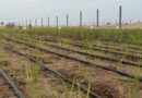 De Norte a Sur: Cómo el calentamiento global borra las fronteras climáticas del país