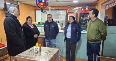 Ancud: 53 microempresas se reactivan gracias al Programa de Emergencias de Sercotec tras incendio que afectó el centro de la ciudad