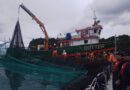 Sernapesca actualiza información sobre escape de salmones en centro cercano a Calbuco