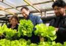 Nuevo programa Tierra Joven: INDAP impulsa acceso a tierras y emprendimiento para juventudes rurales