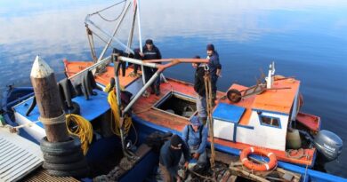 Pesca artesanal: proceso eleccionario renovará el directorio de Fundación Chinquihue para el período 2025-2029