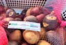 Primer biofungicida activado por luz y más: Los atractivos de Expo Chile Agrícola