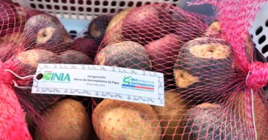 Primer biofungicida activado por luz y más: Los atractivos de Expo Chile Agrícola
