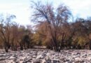 Minagri y Centro de Ciencia del Clima y la Resiliencia CR2 fortalecen colaboración mutua