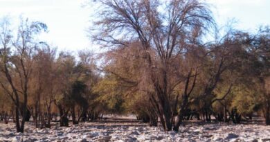 Minagri y Centro de Ciencia del Clima y la Resiliencia CR2 fortalecen colaboración mutua