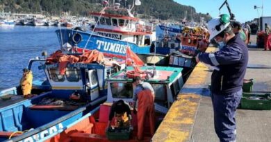 Asociación de funcionarios y funcionarias de Sernapesca emplazan a candidatos presidenciales a pronunciarse sobre la ley de pesca y acuicultura