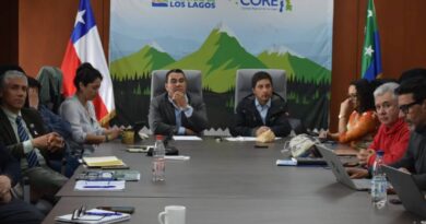 Consejeros Regionales analizan propuesta para acelerar la regularización de títulos de dominio en la Región de Los Lagos