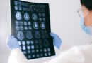Investigación estudia cómo el cerebro adquiere experticia visual al procesar imágenes
