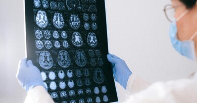 Investigación estudia cómo el cerebro adquiere experticia visual al procesar imágenes