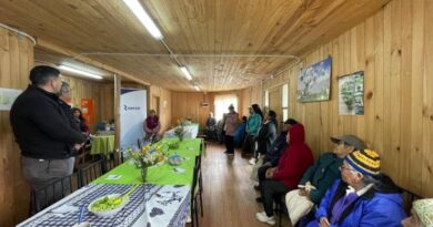 Sede de adultos mayores en Punotro ya cuenta con energía eléctrica gracias a Saesa