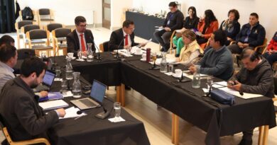 Stefan Kramer será el artista estelar en el Show de Aniversario de Frutillar