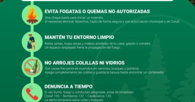 Cinco consejos para prevenir incendios forestales este verano