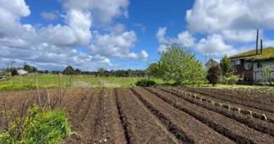 Cierre exitoso del programa “Transformación, Implementación y Comercialización de la Quinoa Chilota” en Ancud