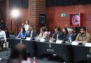 Consejo Regional aprobó dos proyectos para Frutillar por 818 millones de pesos