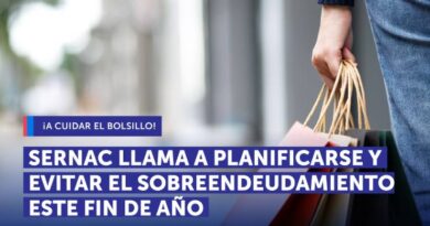 Sernac llama a planificarse y evitar el sobreendeudamiento este fin de año