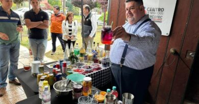 Proyecto “Osorno a la Carta” suma coctelería sin alcohol a la oferta gastronómica local