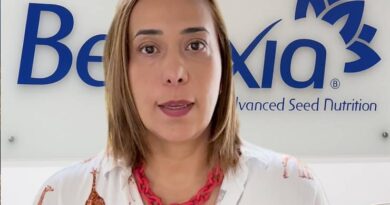 El cansancio mental no es solo estrés: también es nutrición