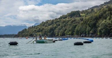 Hito regional: PER Mejillón de Corfo destacó 10 años de trabajo conjunto para impulsar la mitilicultura regional