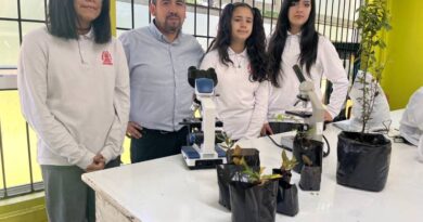 Investigación escolar desde Osorno vincula ciencia, contaminación y árboles urbanos con impacto provincial