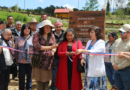 Inauguran dos proyectos de arborización comunitaria en hospitales interculturales de Los Lagos