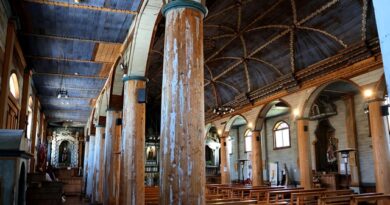 Concluye proyecto financiado por el Fondo de Medios 2025