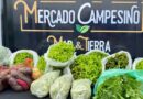 INDAP abre tres nuevos mercados campesinos en la región de Los Lagos