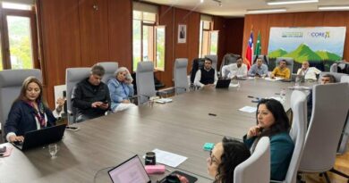 Comisión de Salud del CORE acuerda sesión conjunta en Río Negro para abordar prioridades de la provincia de Osorno