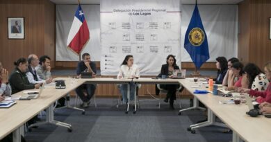 Plan “Fin de Año Seguro”: más de 24 instituciones del Estado desplegadas para reforzar la seguridad en la región de Los Lagos