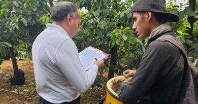 Dirección del Trabajo detectó múltiples infracciones de seguridad en fiscalización a fundo agrícola en Osorno