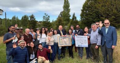 Tarahuín y Chonchi lideran la conservación: Lanzan el Plan RECOGE Huillín para proteger al carismático nutrión patagónico.