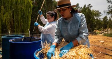 Región de O’Higgins: La Estrella convierte lodos de aguas servidas en fertilizante y reduce impactos ambientales con un piloto de estabilización