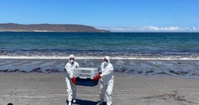 Sernapesca hace un llamado a cuidar la fauna marina protegida