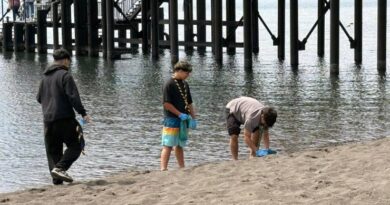 Grupo de Scouts de Santiago realiza limpieza de playa en Frutillar
