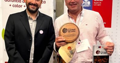 Seremi de Energía informa ampliación del plazo de postulación al programa “Sello Calidad de Leña” en la región de Los Lagos